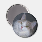 Aimant Calico princesse (Recto/Verso)