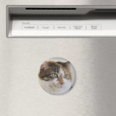 Aimant Calico tabby face de chat (In Situ (Lave-vaisselle))