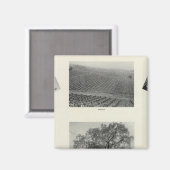 Aimant Californie 4 (Recto/Verso)