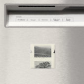 Aimant Californie 4 (In Situ (Lave-vaisselle))