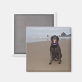 Aimant Californie, États-Unis (Recto/Verso)