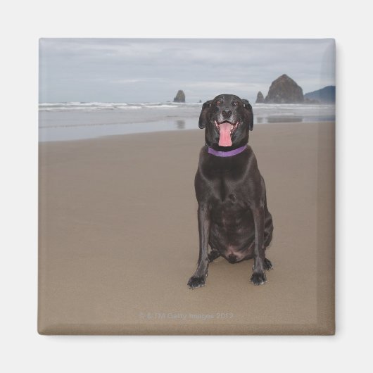 Aimant Californie, États-Unis (Devant)