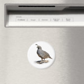 AIMANT CALIFORNIE QUAIL (In Situ (Lave-vaisselle))
