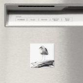 Aimant Californie Seagull 2012 (In Situ (Lave-vaisselle))