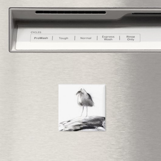 Aimant Californie Seagull 2012 (In Situ (Lave-vaisselle))