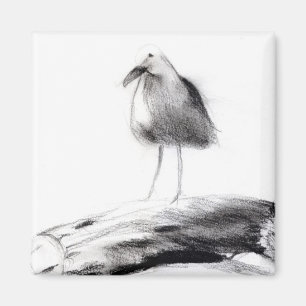 Aimant Californie Seagull 2012