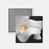 aimant calla lily (Recto/Verso)