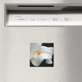 aimant calla lily (In Situ (Lave-vaisselle))