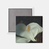 Aimant Calla Lily Dawn (Recto/Verso)
