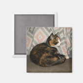 Aimant Callie Cat sur Sofa (Recto/Verso)
