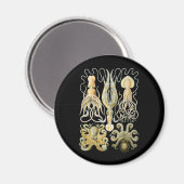 Aimant Calmar et poulpe (Recto/Verso)