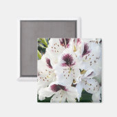 Aimant Calsap Rhododendrons (Recto/Verso)