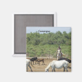 Aimant Camargue - (Recto/Verso)