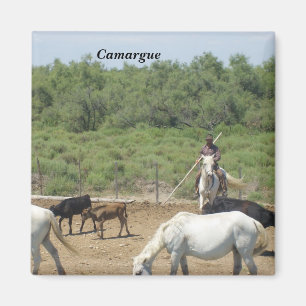 Aimant Camargue -