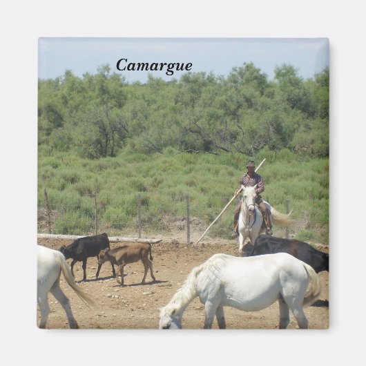 Aimant Camargue - (Devant)