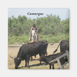 Aimant Camargue -