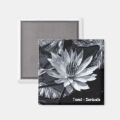 Aimant Cambodge - Lotus Flower BW (Frigo Magnet) (Recto/Verso)