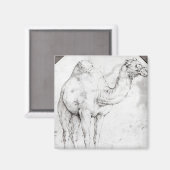 Aimant Camel (Recto/Verso)