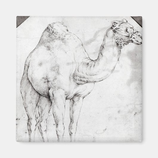Aimant Camel (Devant)