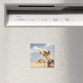 Aimant Camel avec Pyramides Gizeh, Egypte (In Situ (Lave-vaisselle))