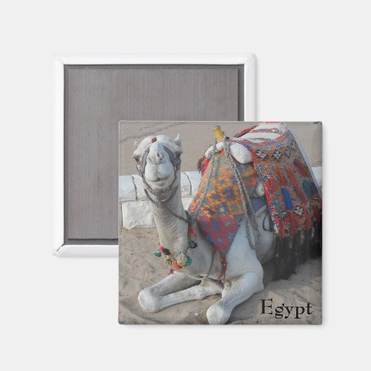 Aimant Camel d'Égypte (Recto/Verso)