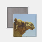 Aimant Camel souriant en profil (Recto/Verso)