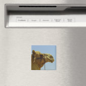 Aimant Camel souriant en profil (In Situ (Lave-vaisselle))