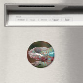 Aimant caméléon (In Situ (Lave-vaisselle))