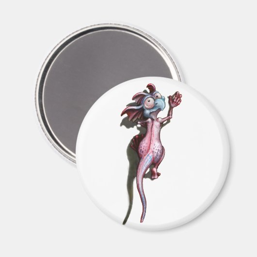 Aimant caméléon (Recto/Verso)