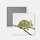 Aimant Caméléon aux couleurs vives avec caractéristique 2 (Recto/Verso)