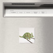 Aimant Caméléon aux couleurs vives avec caractéristique 2 (In Situ (Lave-vaisselle))