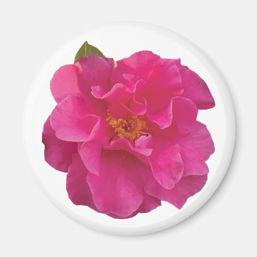 Aimant Camélia Réaliste Rose Fuchsia Fleurie (Devant)