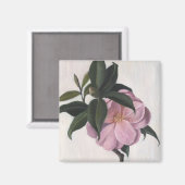 Aimant Camellia 1998 (Recto/Verso)