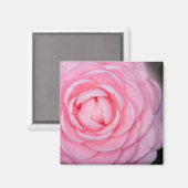 Aimant Camellia de perfection rose (Recto/Verso)