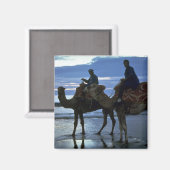 Aimant Camels, Maroc (Recto/Verso)