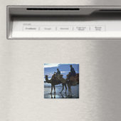 Aimant Camels, Maroc (In Situ (Lave-vaisselle))