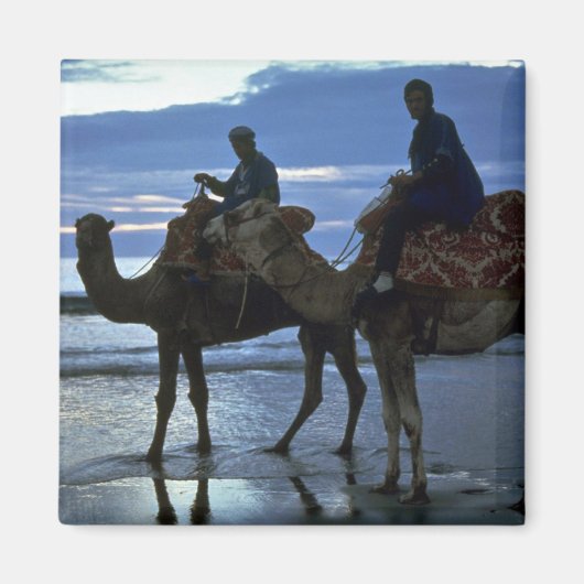 Aimant Camels, Maroc (Devant)
