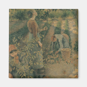 Aimant Camille Pissarro les récolteuses d'Apple, 1886