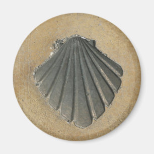 Aimant Camino De Santiago