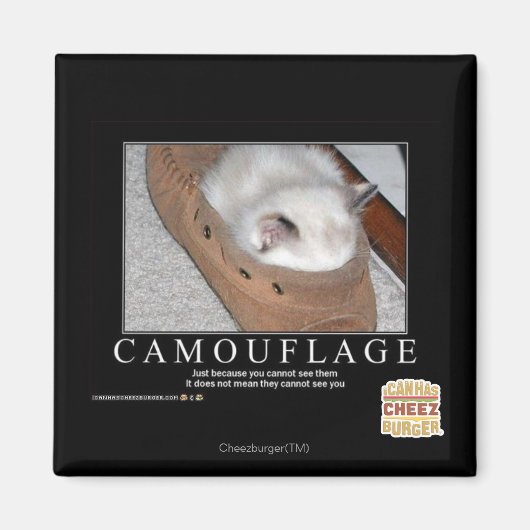 Aimant Camouflage (Devant)