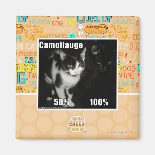 Aimant Camouflage (Devant)
