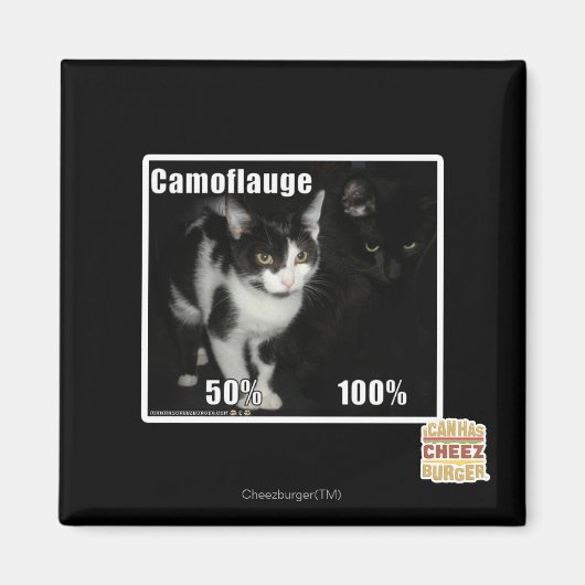 Aimant Camouflage (Devant)