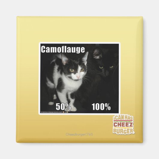 Aimant Camouflage (Devant)