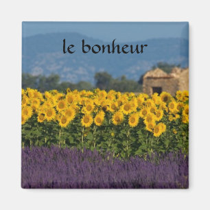 Aimant campagne française