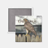 Aimant Camping Hawk (Recto/Verso)