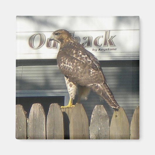Aimant Camping Hawk (Devant)