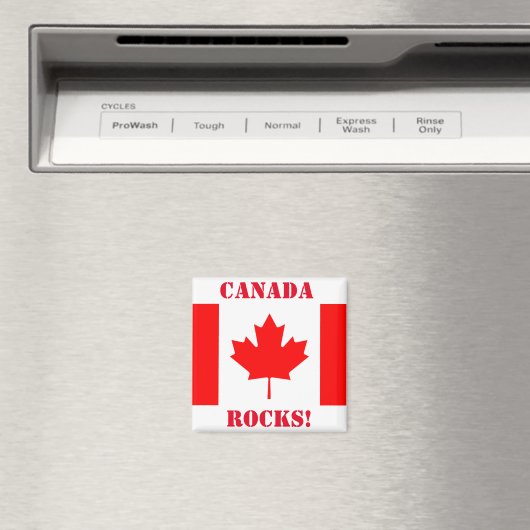 AIMANT CANADA (In Situ (Lave-vaisselle))