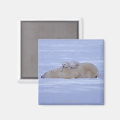 Aimant Canada (Recto/Verso)