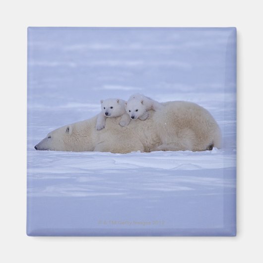 Aimant Canada (Devant)