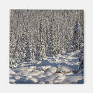 Aimant Canada, Alberta, parc national de Jasper.